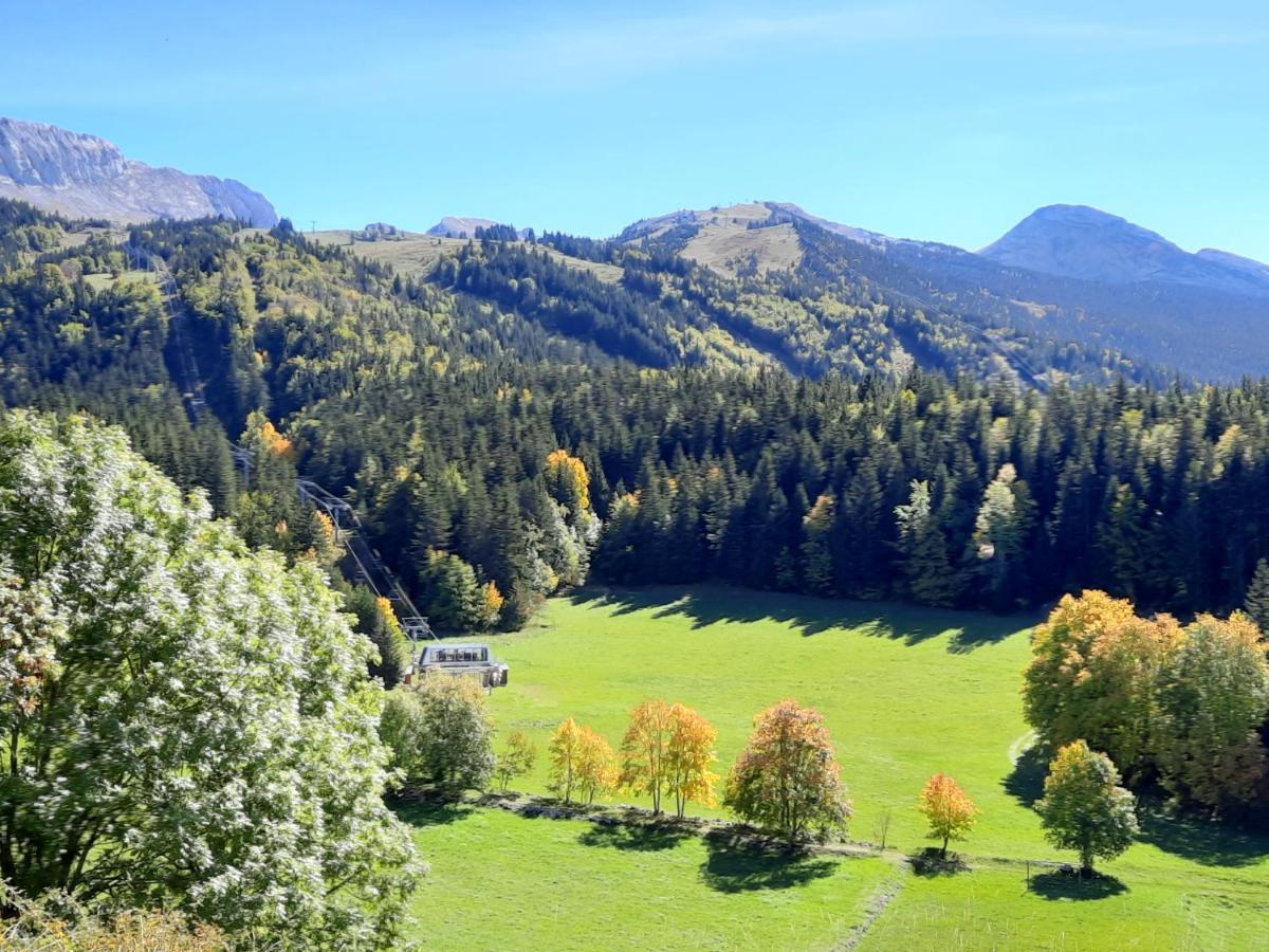 Les Glovettes Villard De Lans Eksteriør billede