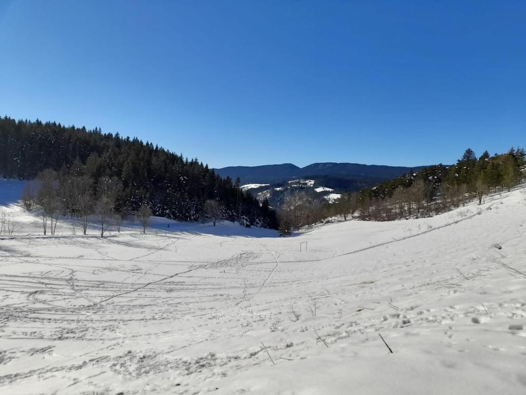 Les Glovettes Villard De Lans Eksteriør billede