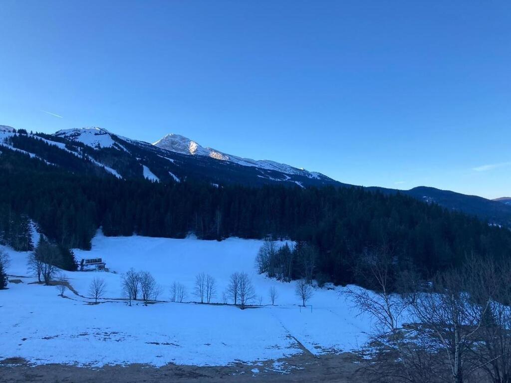 Les Glovettes Villard De Lans Eksteriør billede
